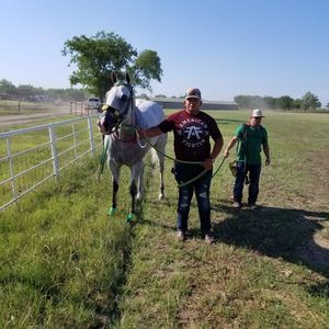 Meet your Posher, Alberto